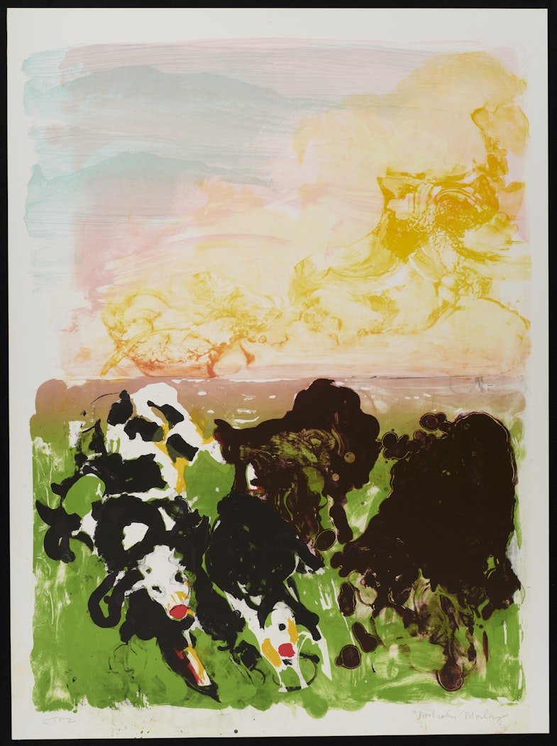 Devonshire Cows