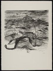 Rinder IV