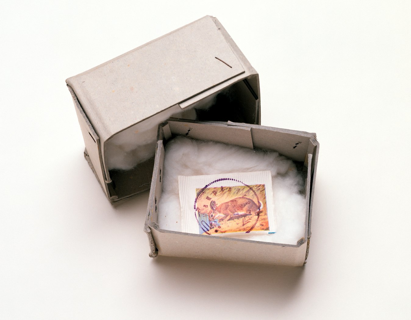 Amerikanischer Hasenzucker(American Hare Sugar)