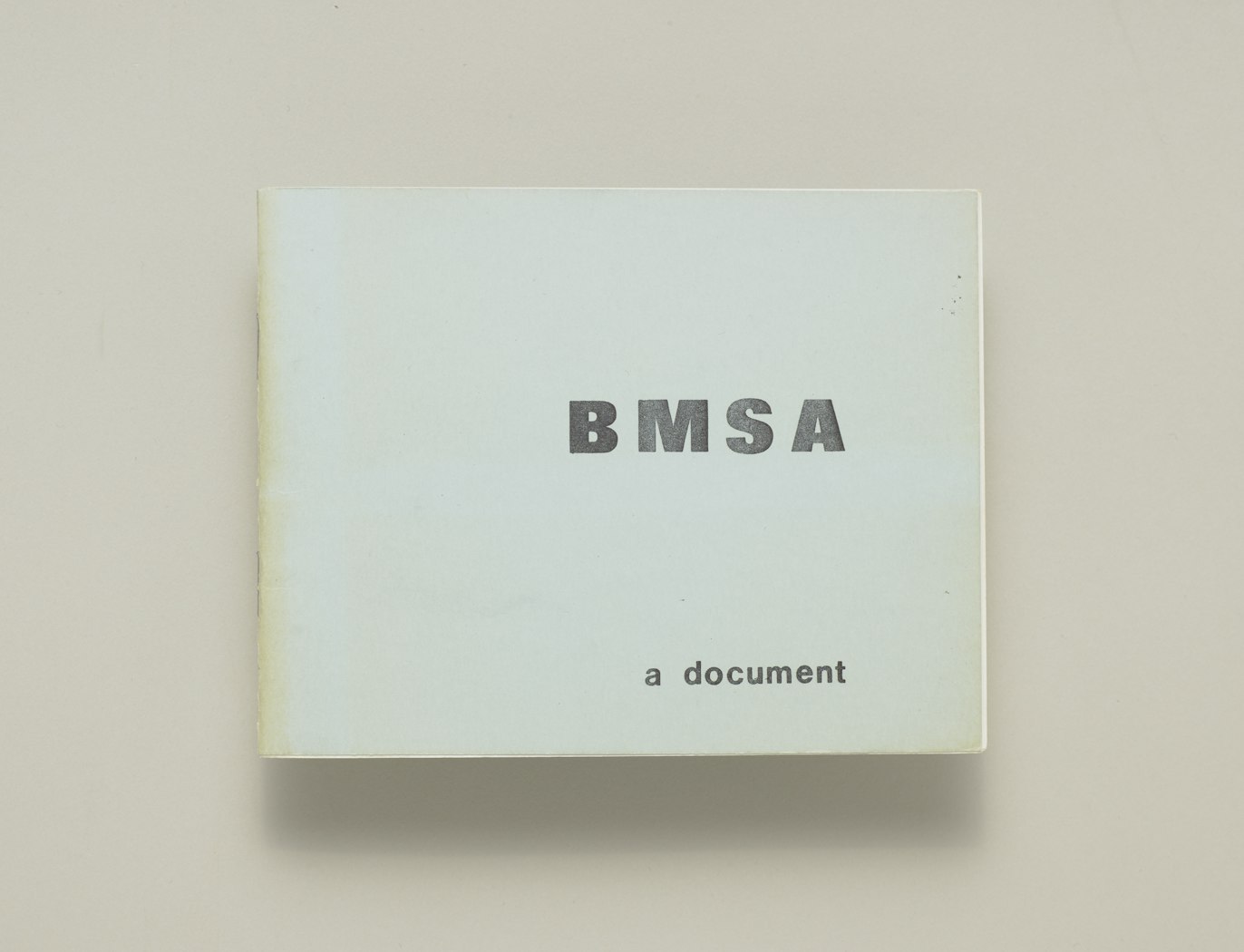 BMSA: a document