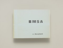 BMSA: a document