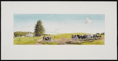Dairy Cows, North Danville, Vermont