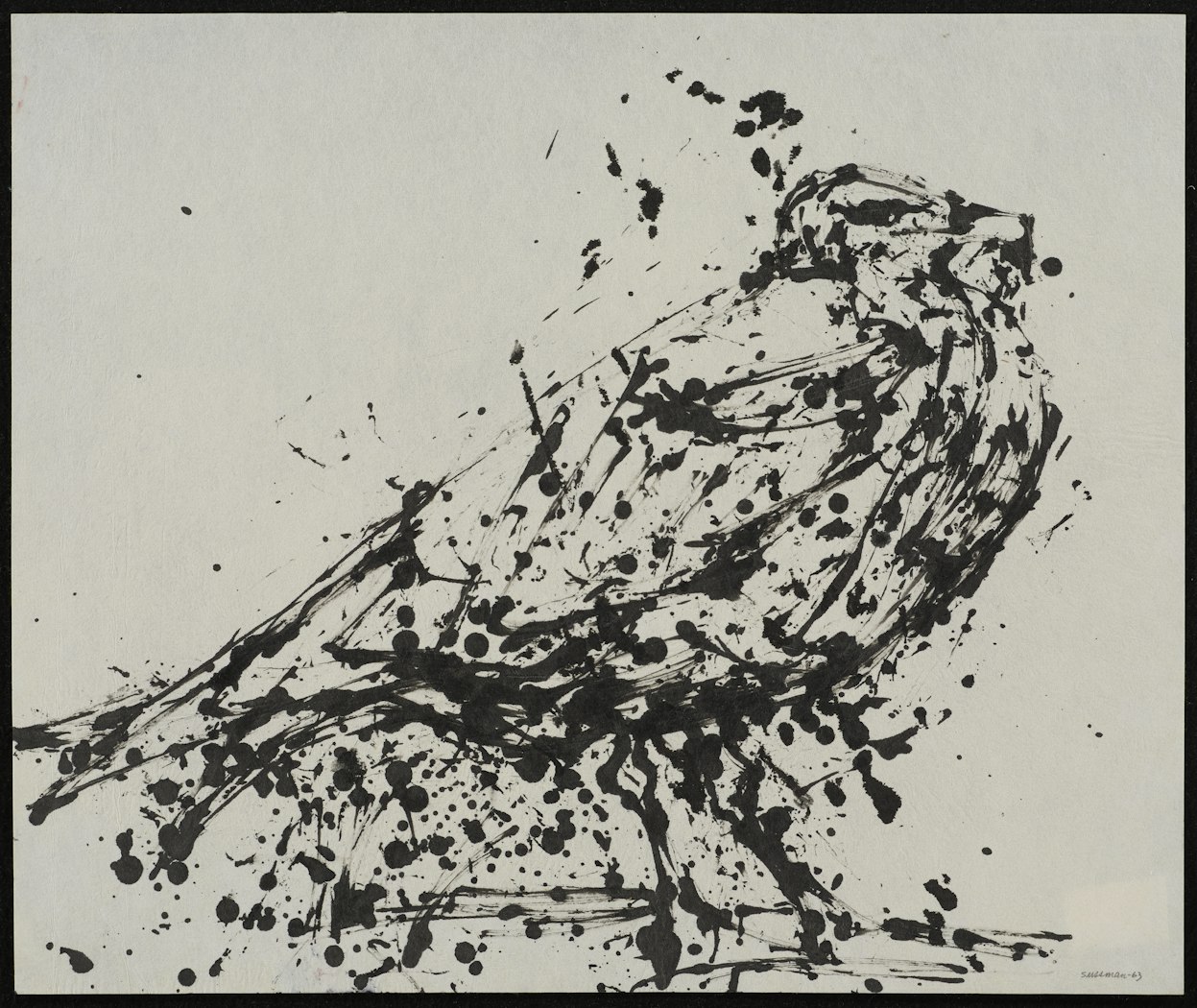 Angry Gull