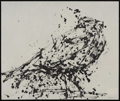Angry Gull