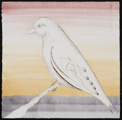 Psyche: The Blue Martin