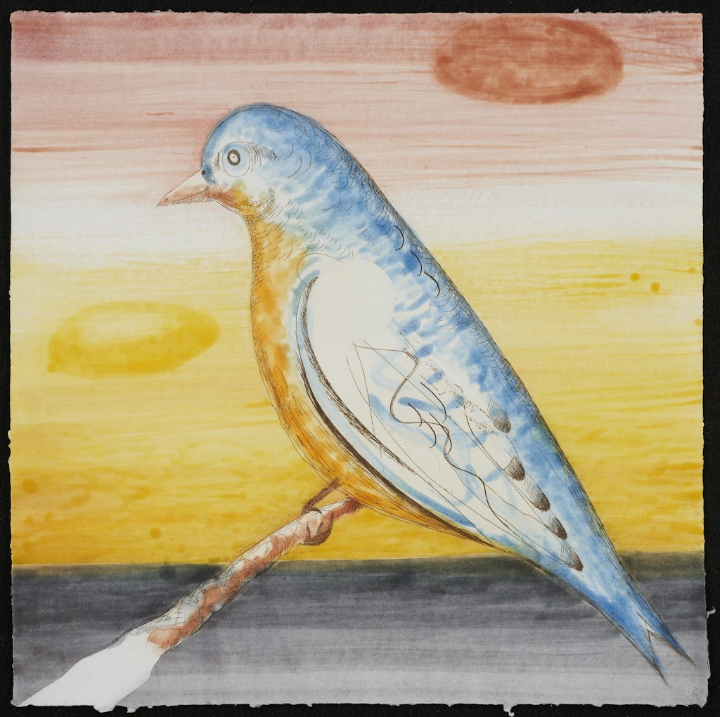 Psyche: The Blue Martin