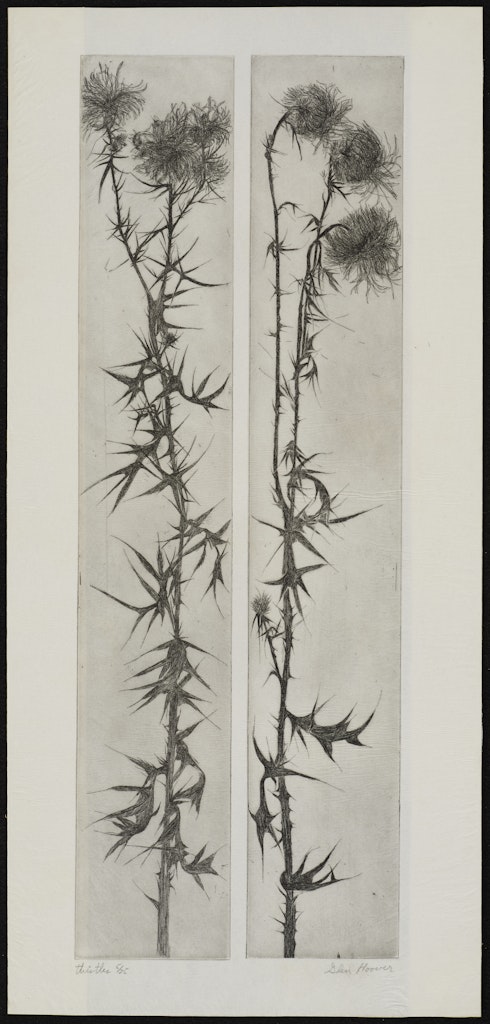 Thistles