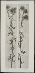 Thistles