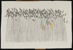 Wheat Field