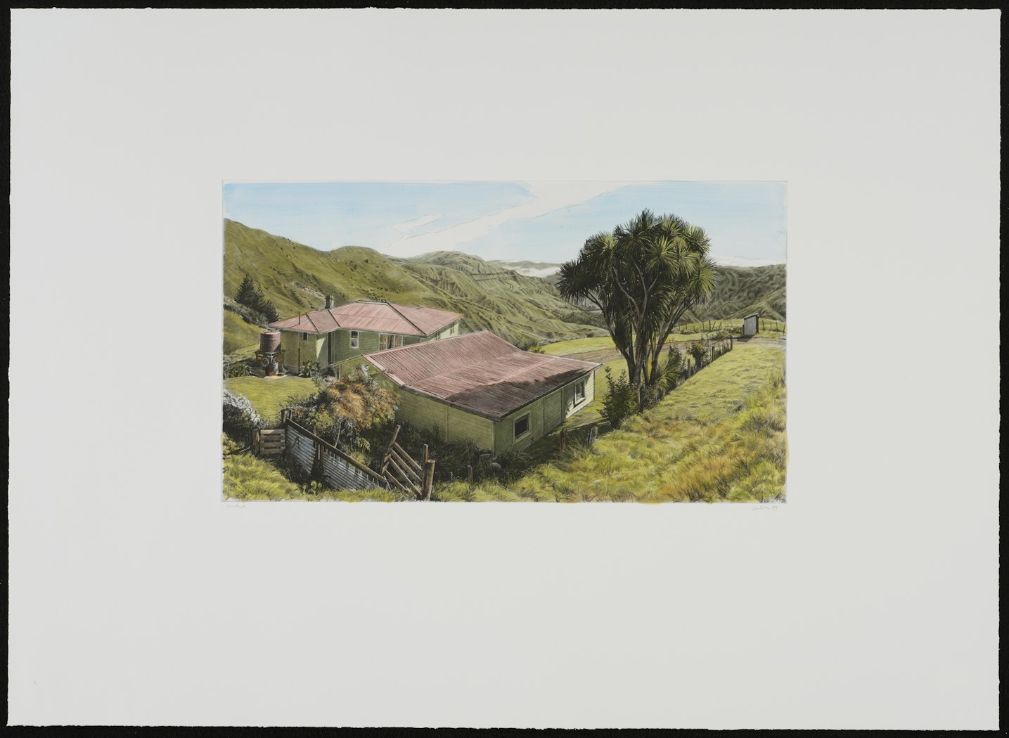 Red Roofs, North Island, New Zealand