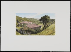 Red Roofs, North Island, New Zealand