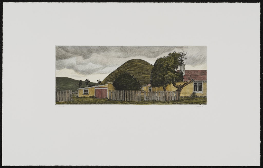 House and Hill, North Island, New Zealand
