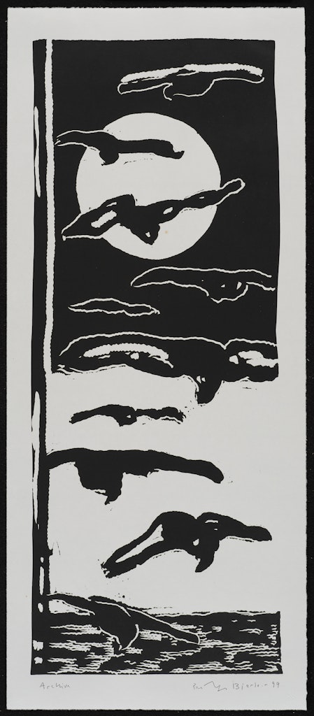 Silence: Flight, Dive, Moonshine