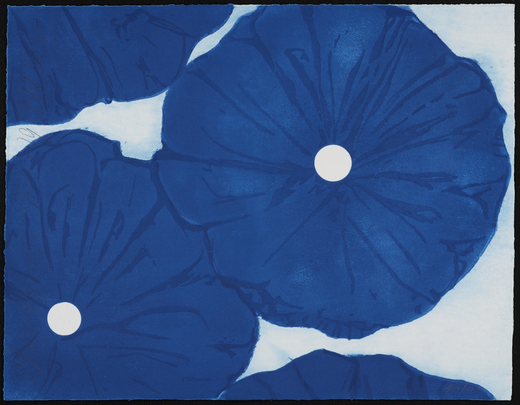 Blue Flowers May 19 1999