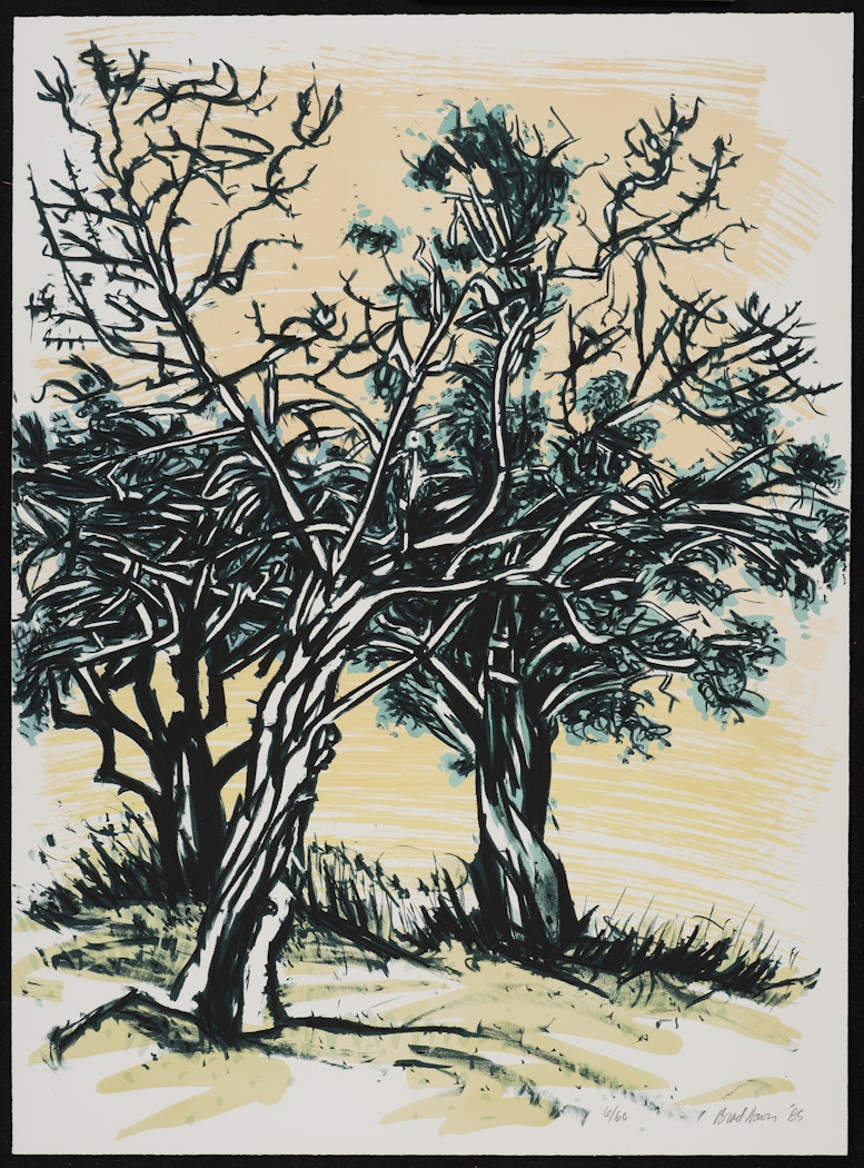 Three Junipers from First Artists Portfolio