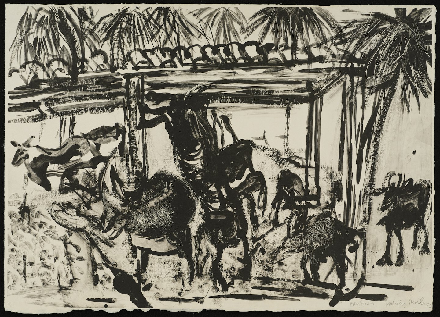 Goats in Shed