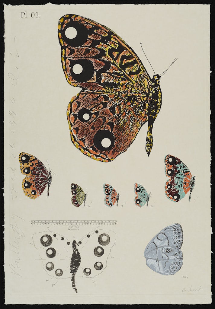 The Album Series Butterfly Feb. 26, 1996