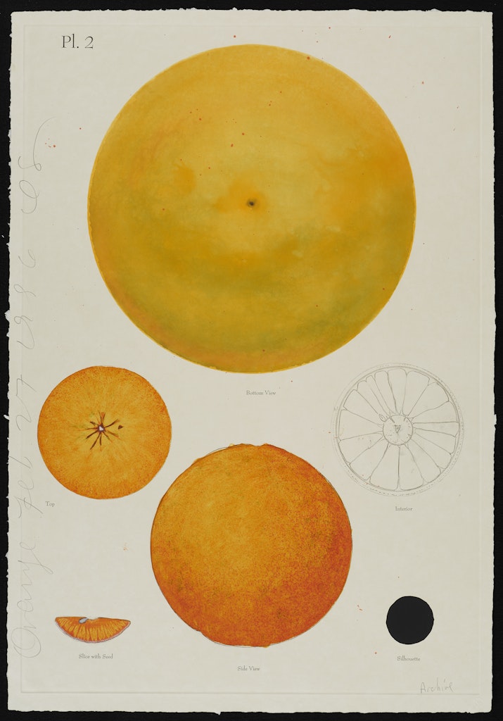 The Album Series Orange Feb. 27, 1996