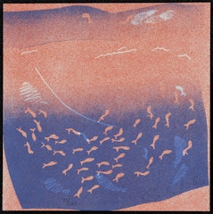 Salmon Run from portfolio Ten Prints by Ten Women