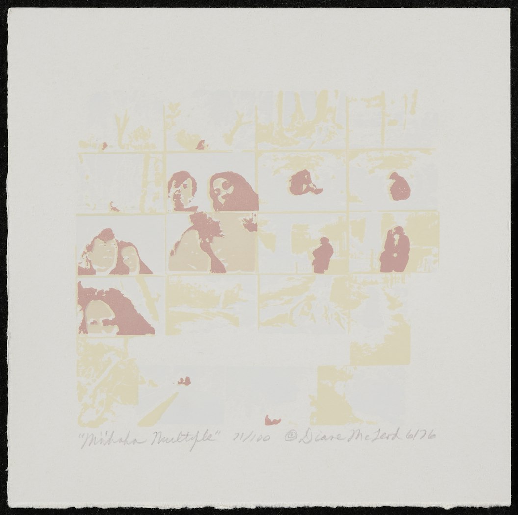Minnehaha Multiple from Portfolio Ten Prints by Ten Women