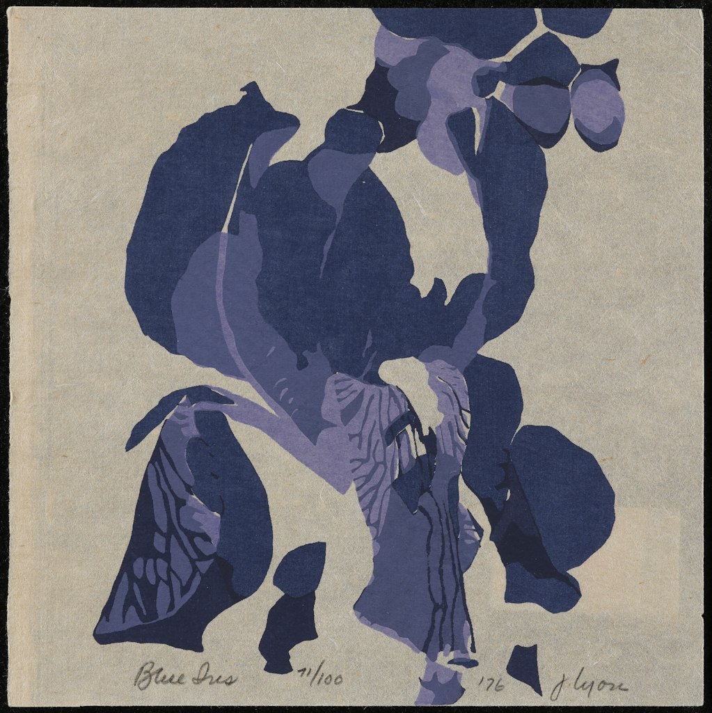 Blue Iris I from Portfolio Ten Prints by Ten Women