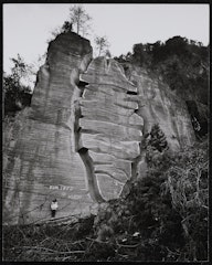 Monument of Metamorphosis