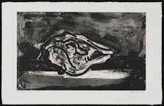 Sheep Skull II