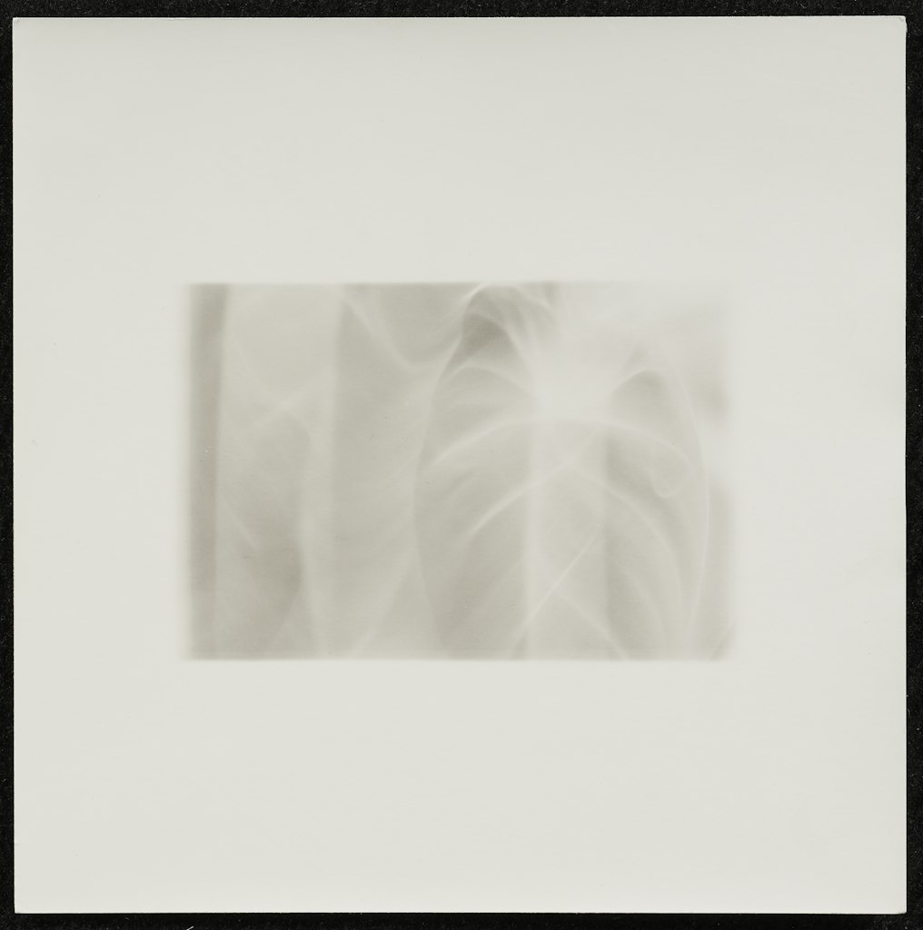 Untitled from portfolio Ten Prints by Ten Women