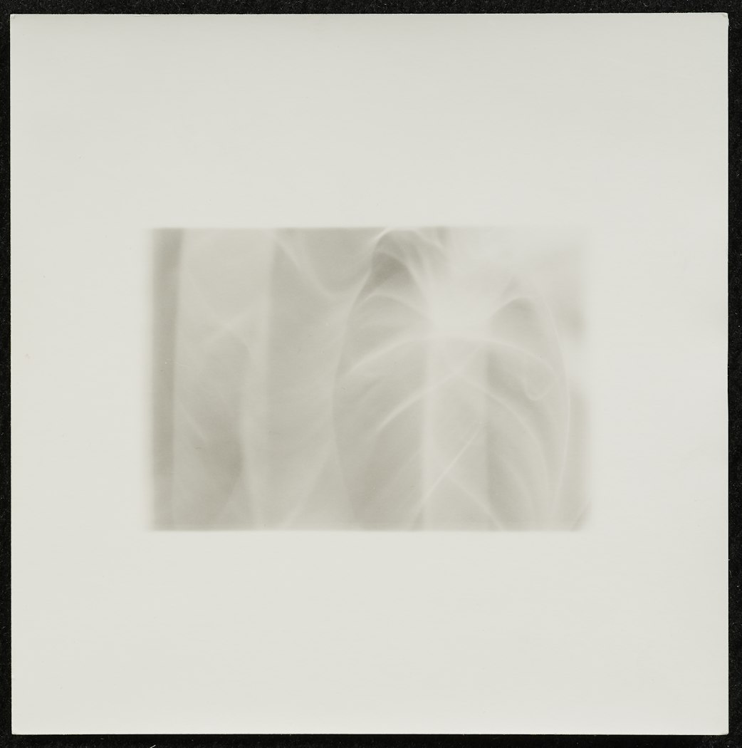 Untitled from portfolio Ten Prints by Ten Women