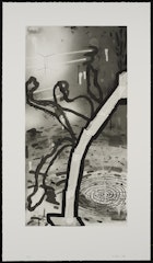 Untitled Large Tape