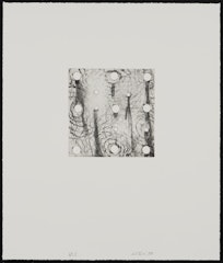Untitled Small Holes