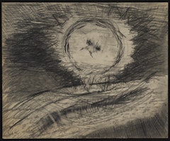 Untitled #6