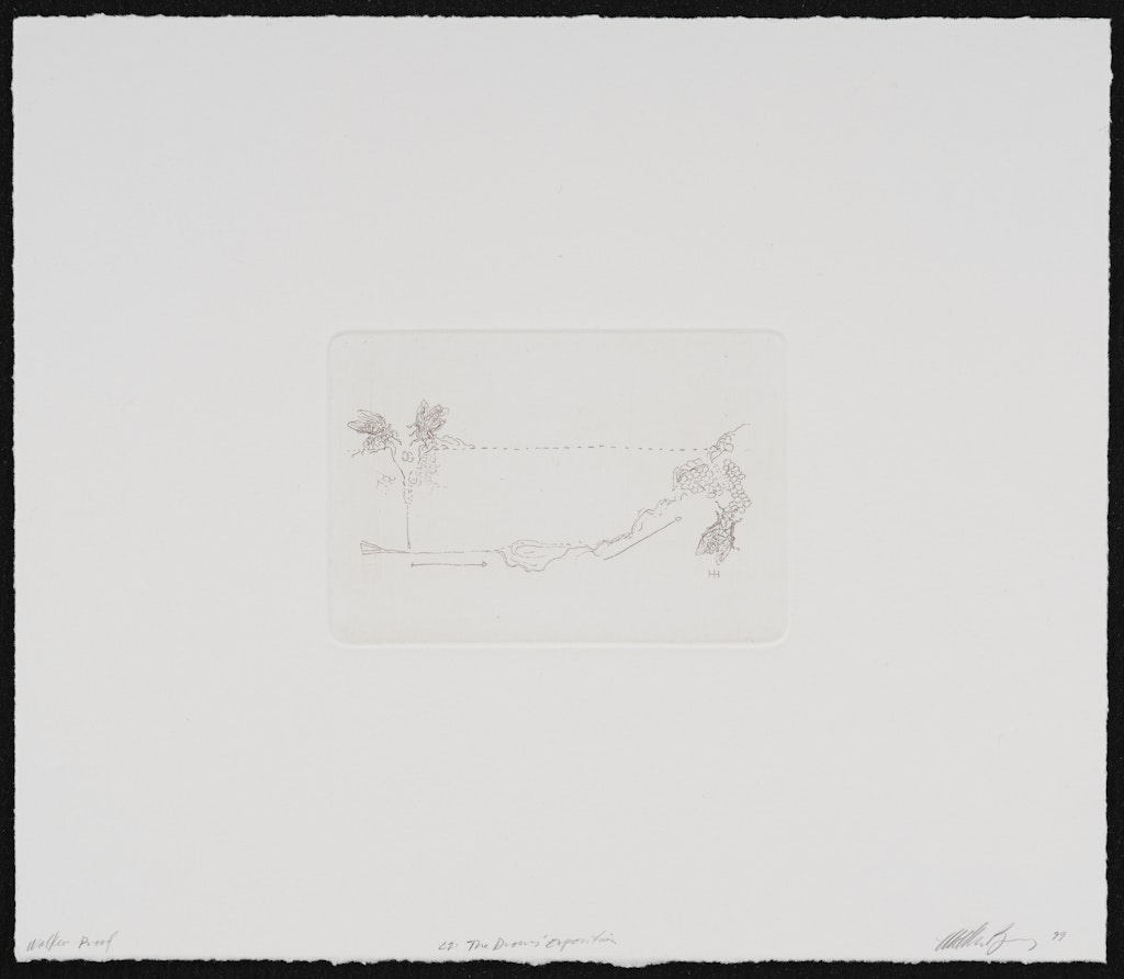 C2:  The Drones' Exposition