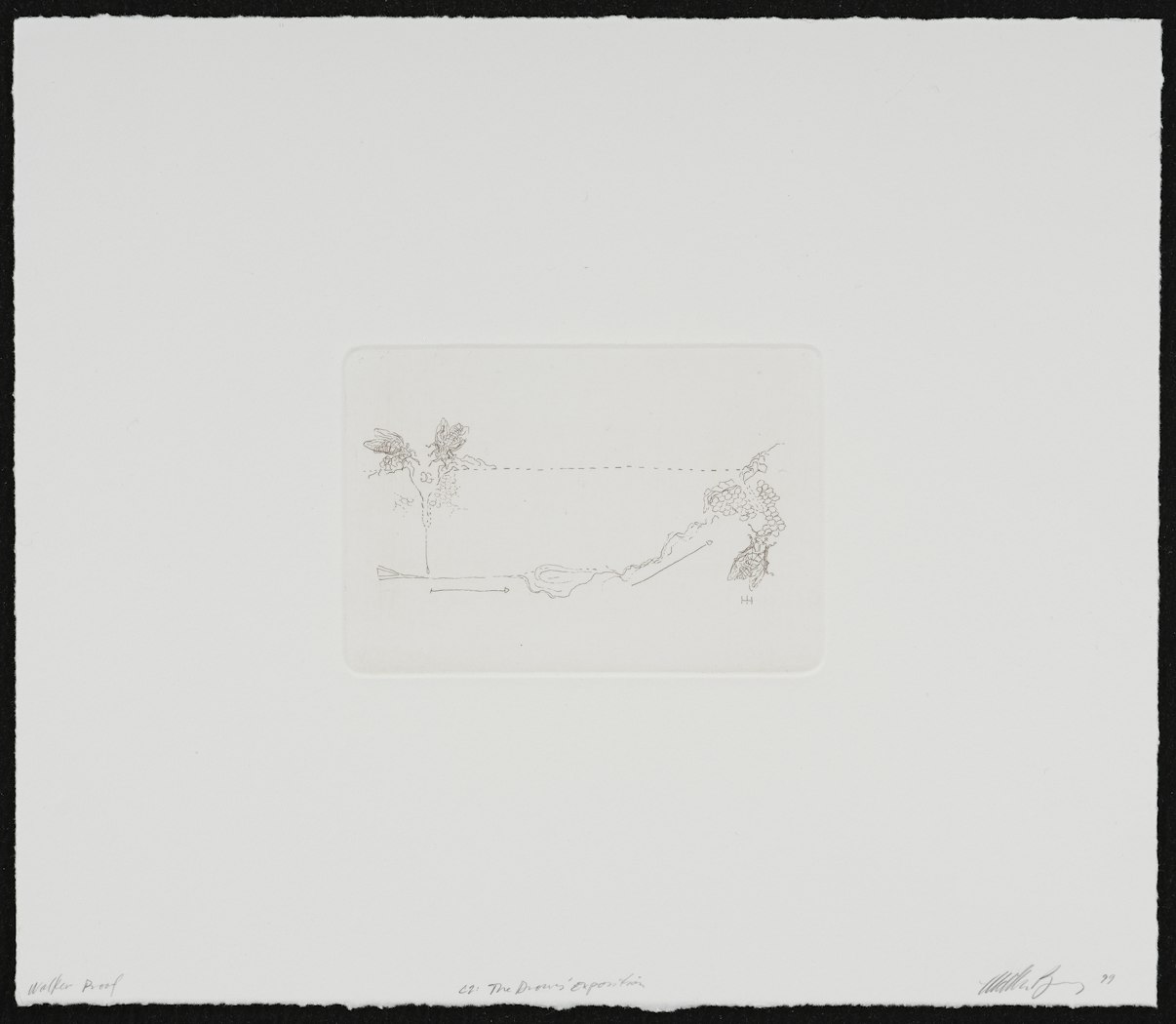 C2:  The Drones' Exposition