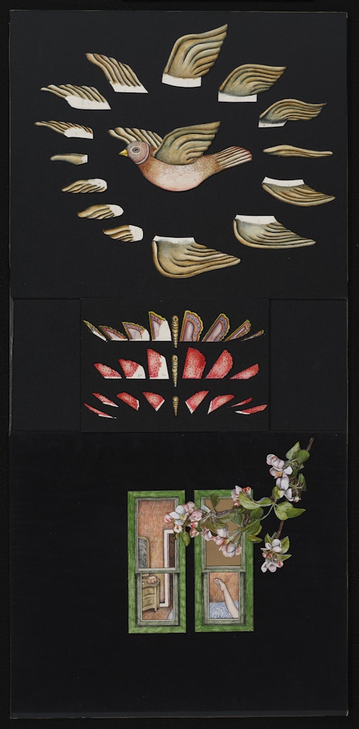 untitled drawing for Crocus