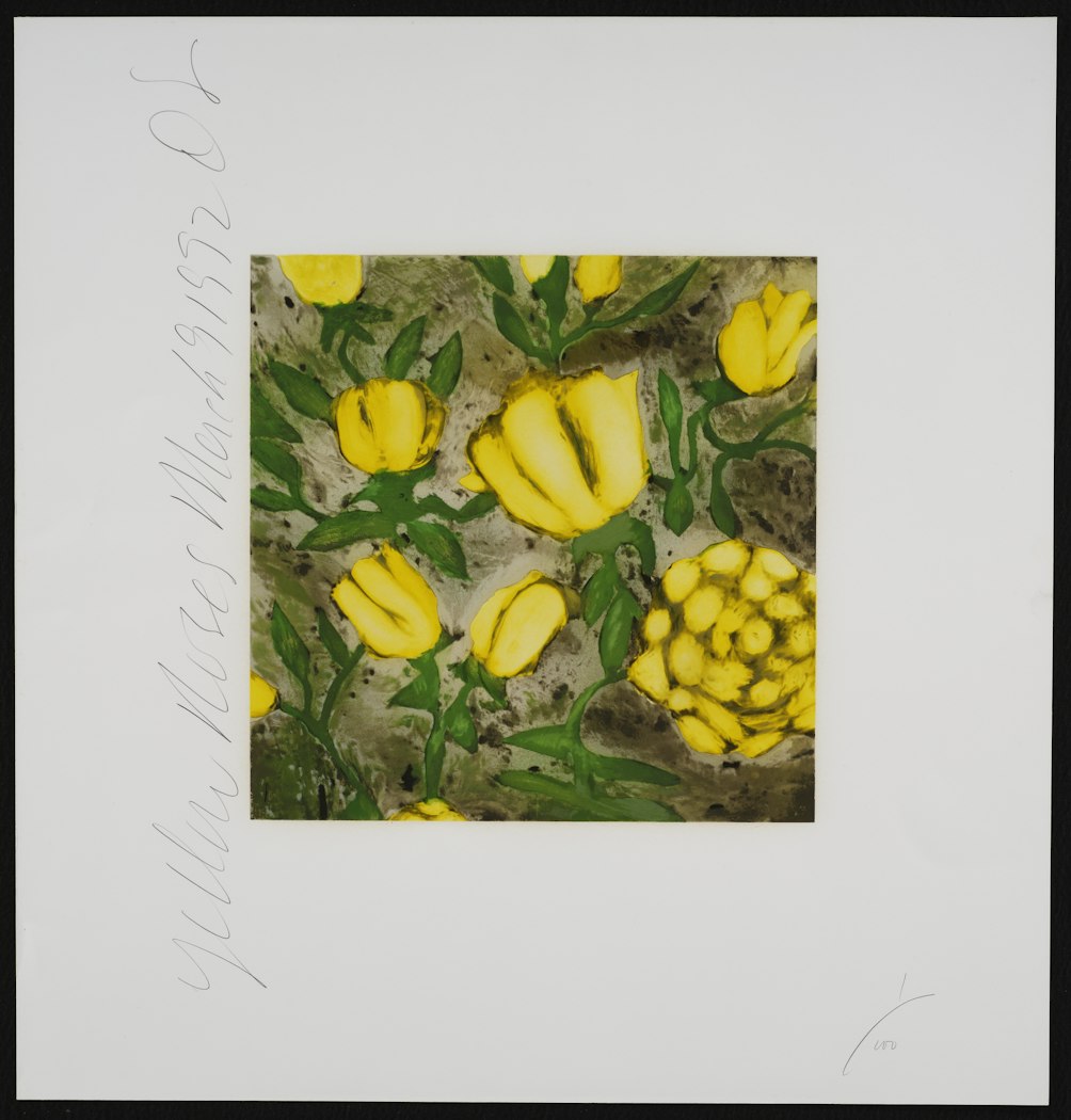 Yellow Roses, March 9, 1992