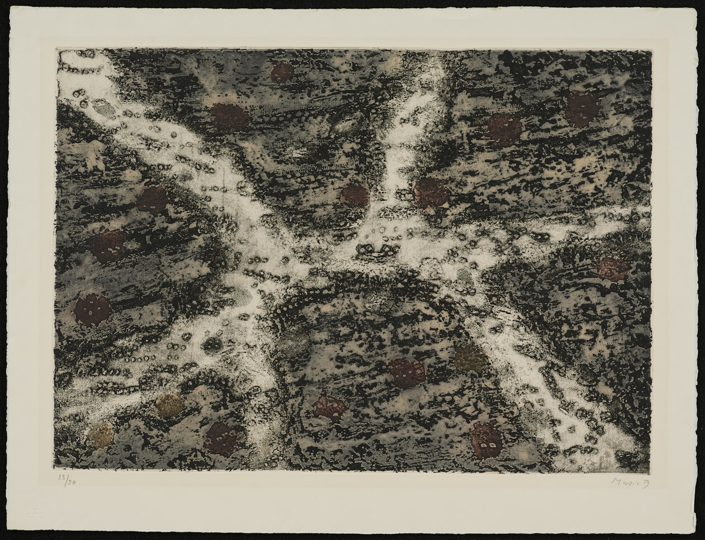 Terre D'Istrie