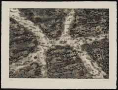 Terre D'Istrie