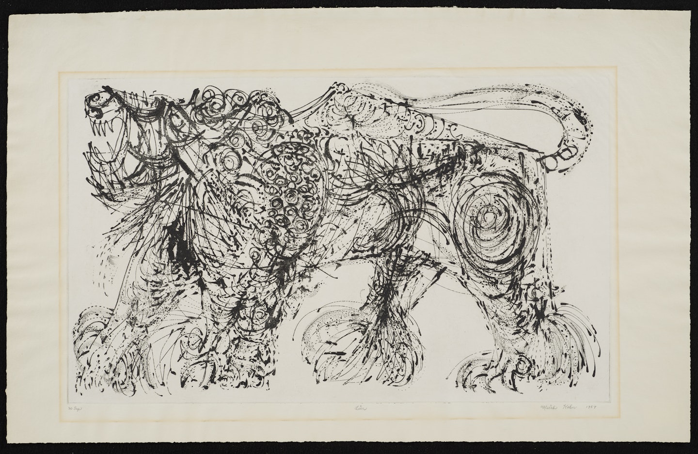 Lion