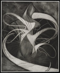dwarf of itself, state II from the half light Series