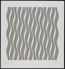 Coloured Greys