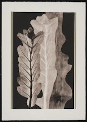 Transformations from Portfolio 15 (#12 in portfolio)