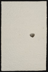Paper Between a Stone and Rock No. 3