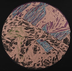 Swan Engraving Circle II, State IV