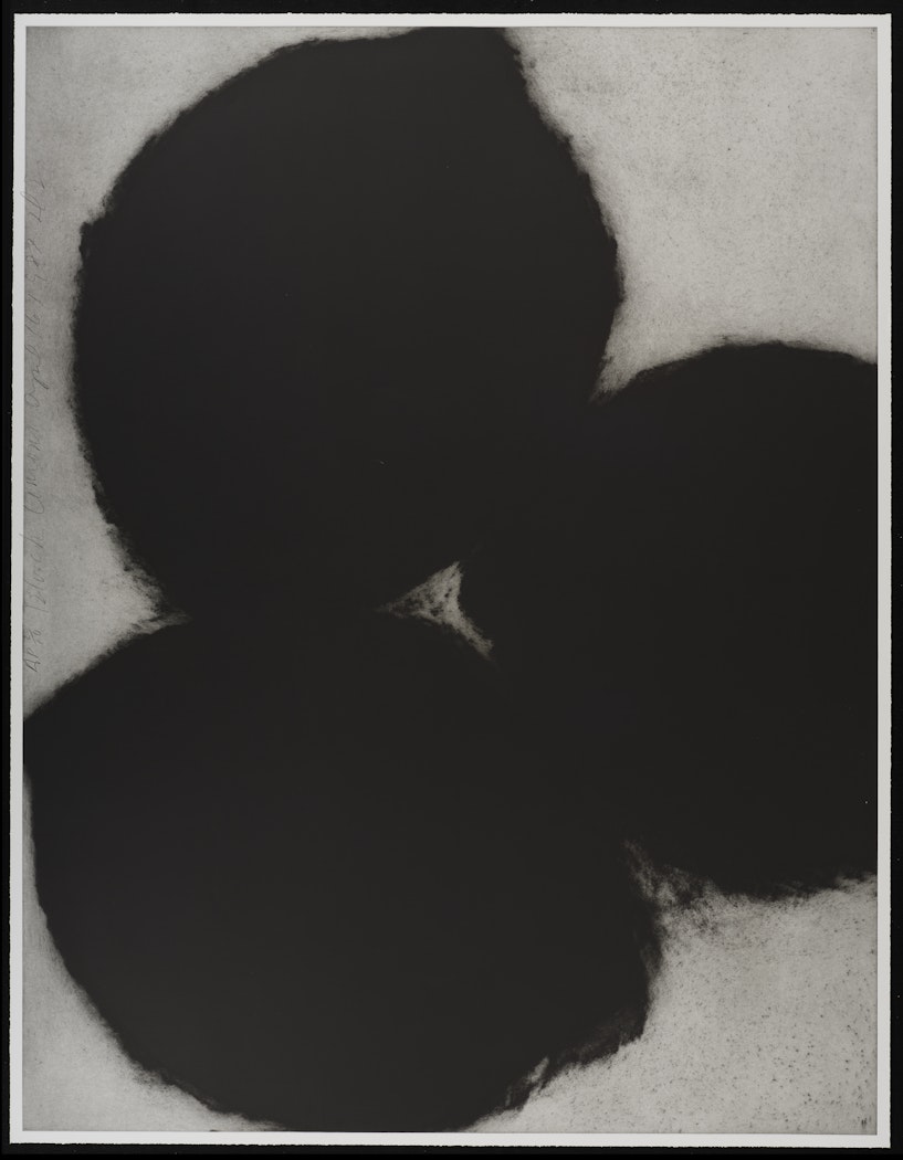 Black Lemons April 16, 1987