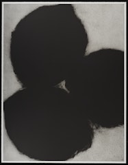 Black Lemons April 16, 1987