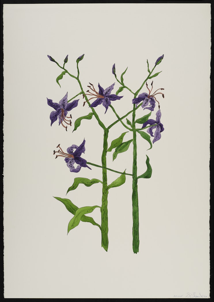 The Lilies