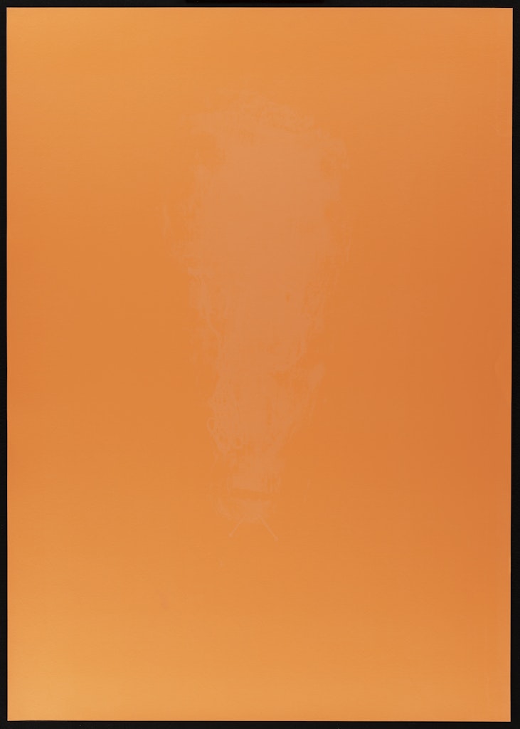 Invisible boy, A draft for a creature, 2010