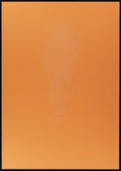 Invisible boy, A draft for a creature, 2010