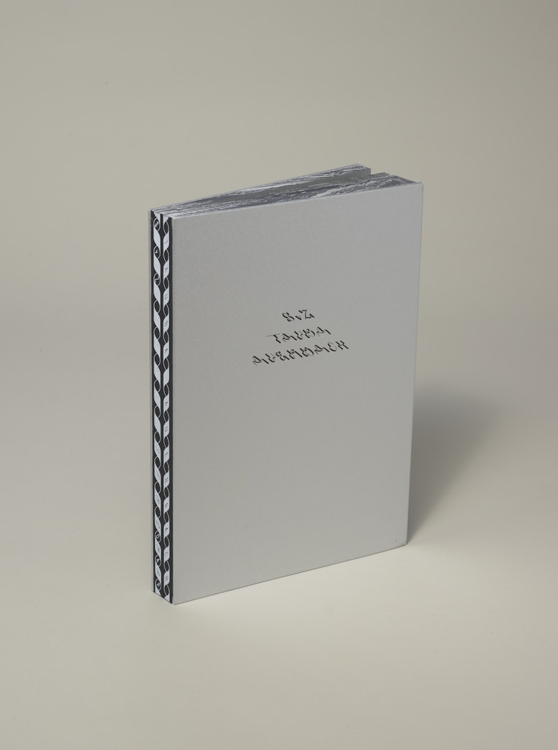 Tauba Auerbach: S v Z